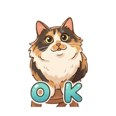 小毛襪的碎碎念