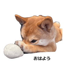 masato_20260402114549