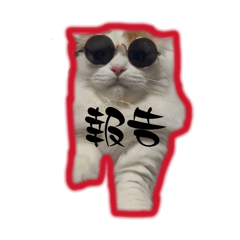 chunchun_20260402120555