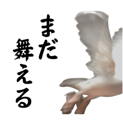 Mochar_20260402114657