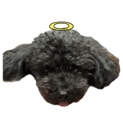 YAMANTA_20260401171934