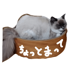 kawaiicat_20260401171730