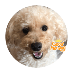 matyu_20260401171622