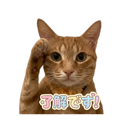 takagi_20260401211852