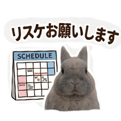 hIrO55_20260401211803