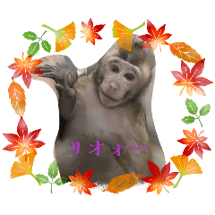 LIPSMACKING productions_20260329194240