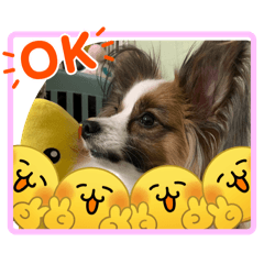 komugi_20260402003656