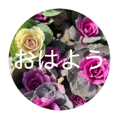 sasasa_20260402065917