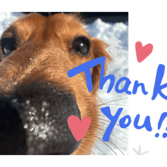 ratch_20260402002640