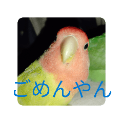 gorira_20260402034259