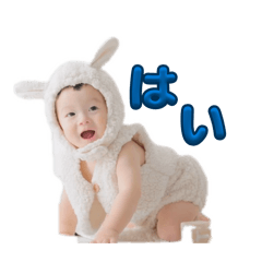 minmi_20260402140851