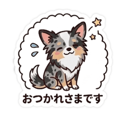 kotamomo_20260401184730