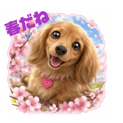 ayako_20260401183621