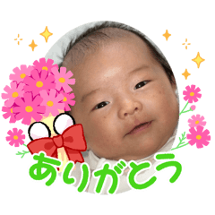 KOJIMA_20260401184642