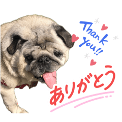 sachi_20260402025826