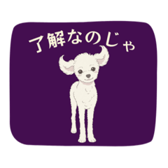 toy_pooooodle_20260402093843