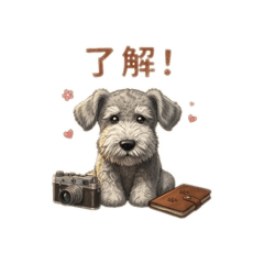 ohana to shuna_20260402092957