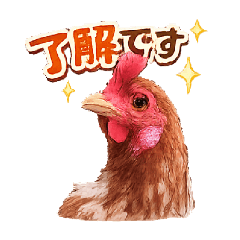 icoriba_20260402065649