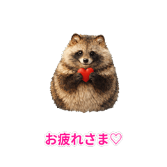 Fluffy Tanuki's Love Life