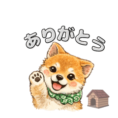 Daily Adventures of Cute Puppies