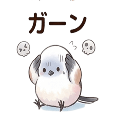 Spring Bird: Daily Talk Stickers