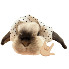 baby chanel everyday polkadot