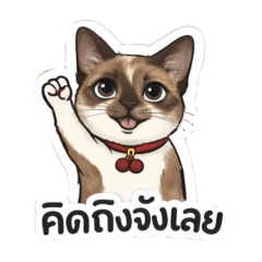 Chanom_20260401201714