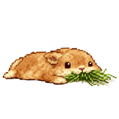 ayakan_20260402011505