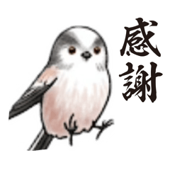 kukuri_20260402011621