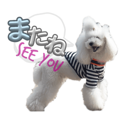 riodayo_20260402025754