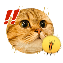 可愛巧克力小萌萌