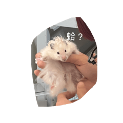 罵丸&小捲毛