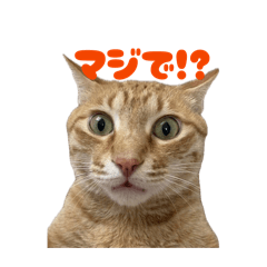 takagi_20260402141438