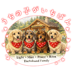 mint1022_20260401203446