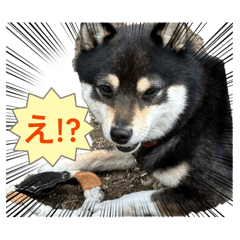 Kametani_20260401205149