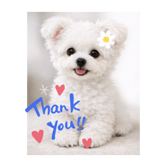 MISAKI_20260401204526