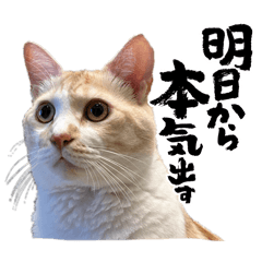 kanyaaa_20260329211726