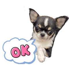 Tamanegi_20260401224404