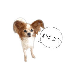 Kotona_20260401224811