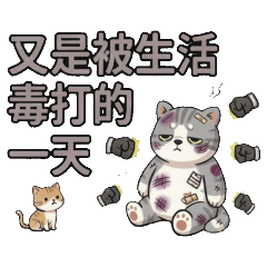 ★可愛貓★ 又是被生活毒打的一天
