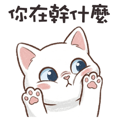 =• ֊ •= 小白貓貓你在幹什麼