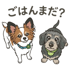 konatsu_20260329202843