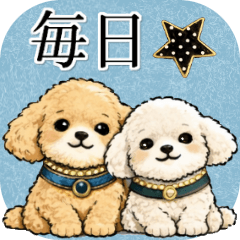 Toy Poodle-Polite Language and Greetings