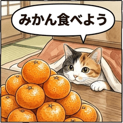 寫實三毛貓的新年美食與實用日常對話