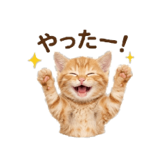 nagisa_20260401203845