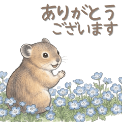 Ezo Pika "Soft Polite Stickers"