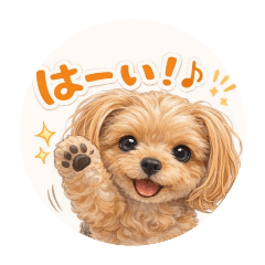 KANA_20260402051804