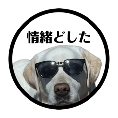 hinanina_20260329220801