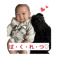 ayaoto_20260402052245