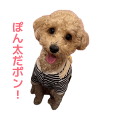 Tomoya_20260402054009